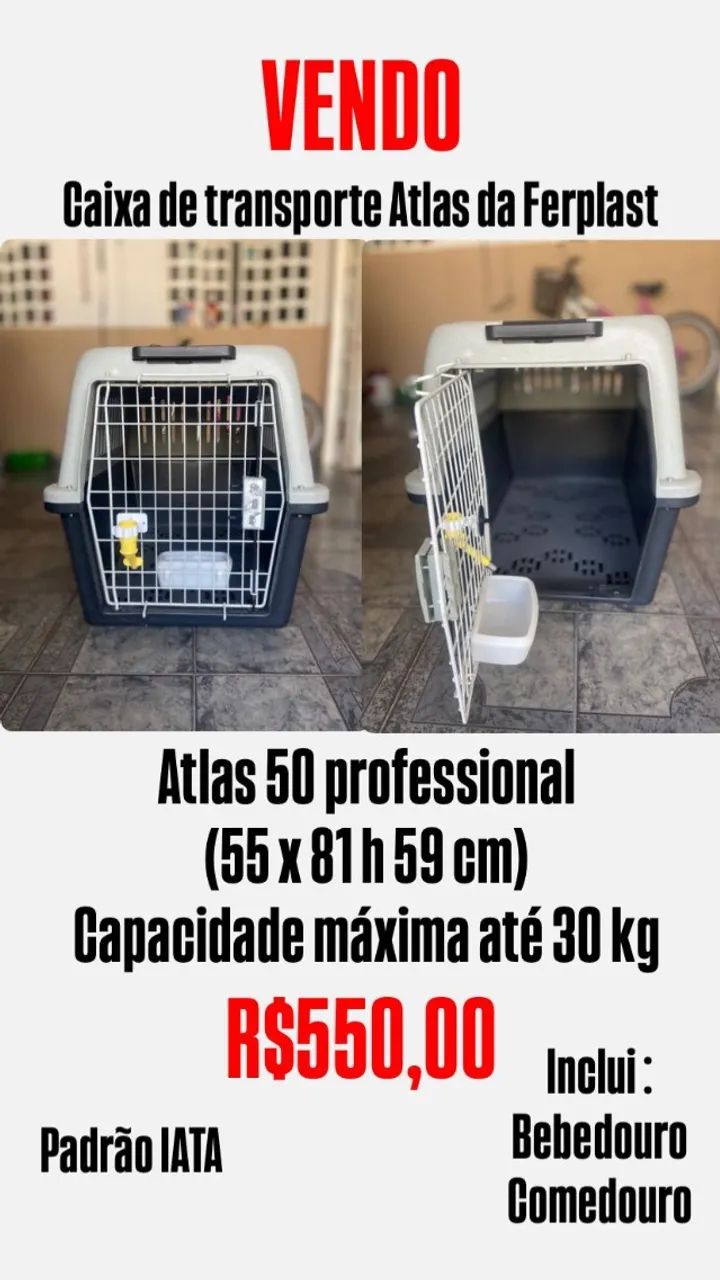Caixa de Transporte Aéreo para Pets