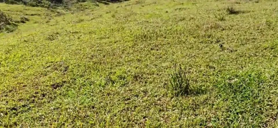 Promoção pedra do Índio - Foto 4