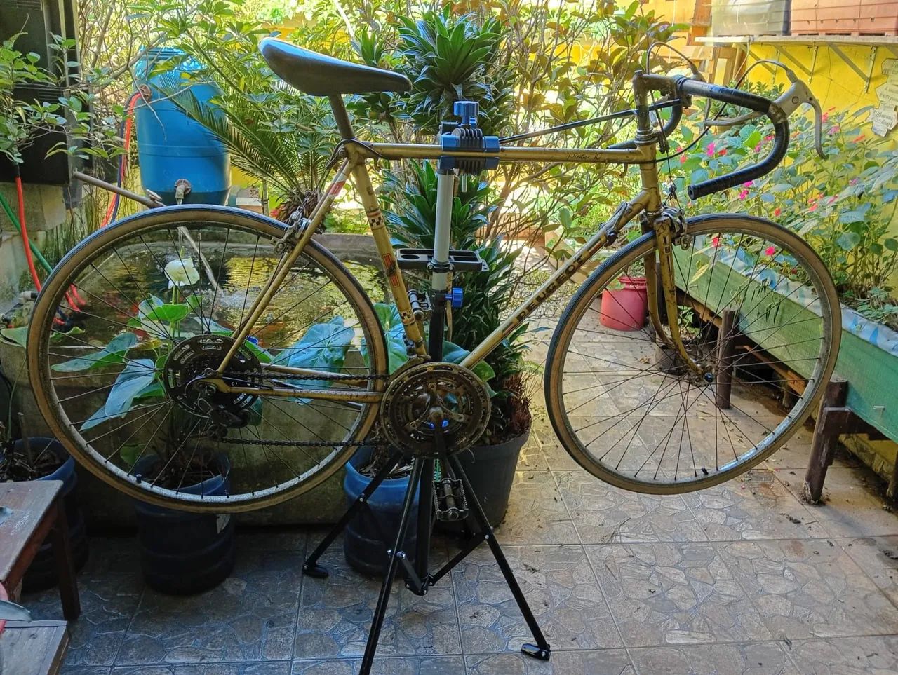 Bicicleta 'peugeot 10' antiga 