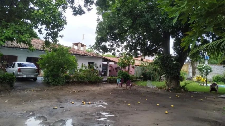 Terreno com casa - Caucaia - 1.239 m² - Foto 5