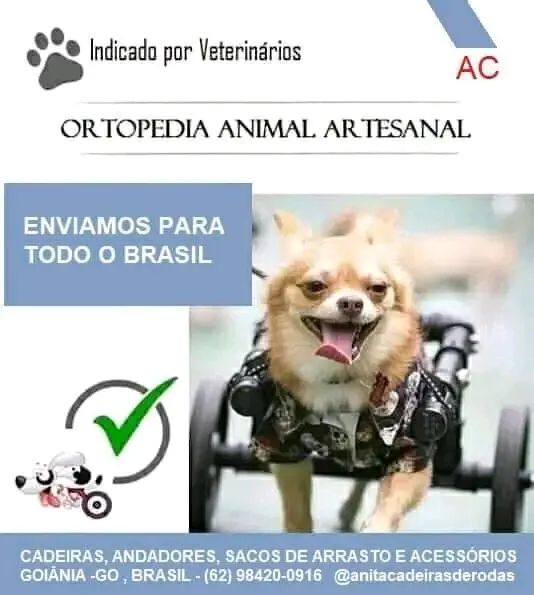 Cadeiras de rodas para cães e gatos  - Foto 4
