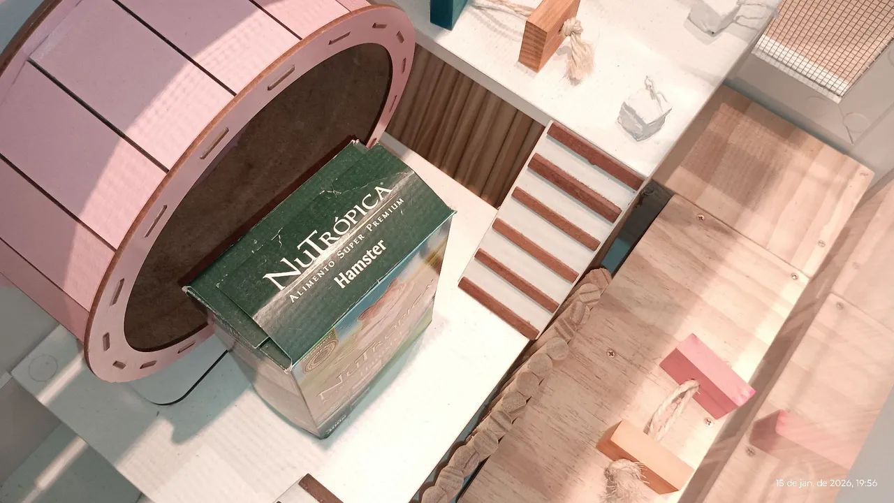 Terrário para hamster65093264873346122