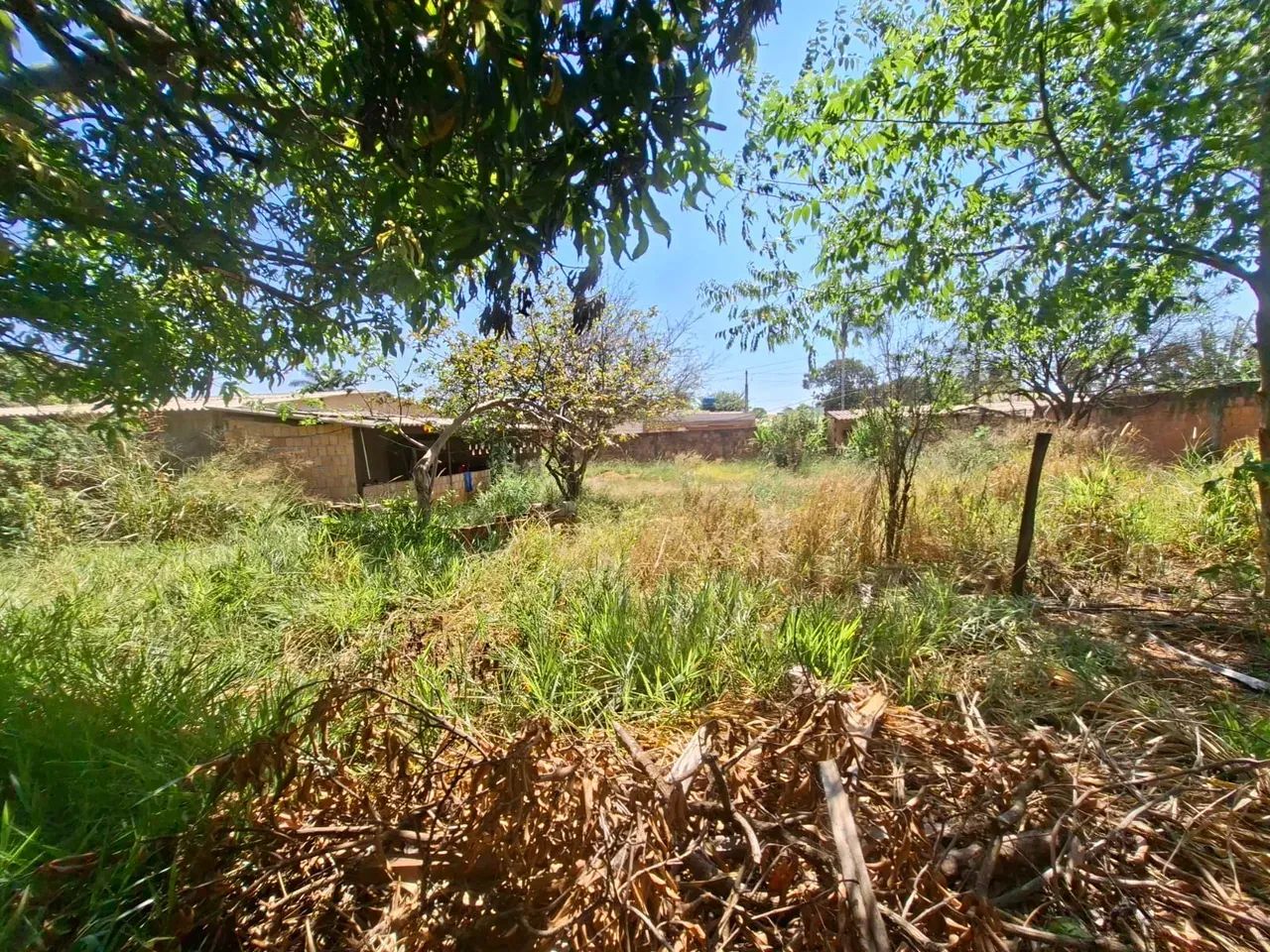 Incra 9 - Brasília - DF - Foto 5