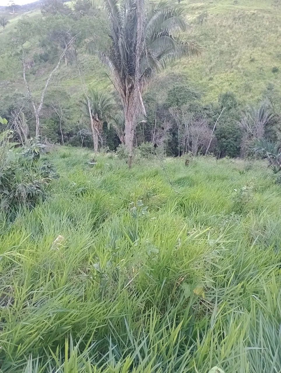 Sitio - Foto 5