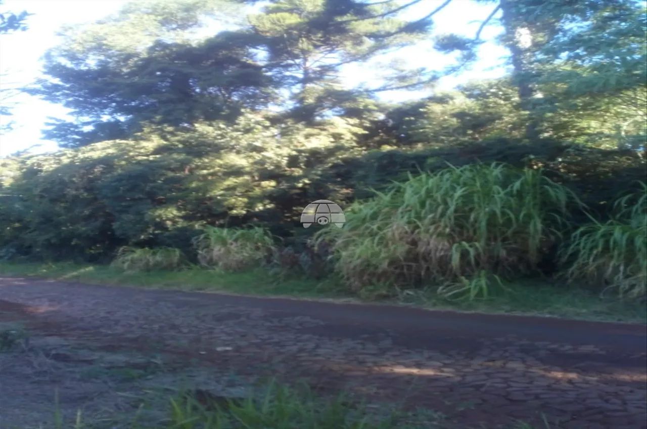 Vendas Terreno Coronel Vivida PR - Foto 5