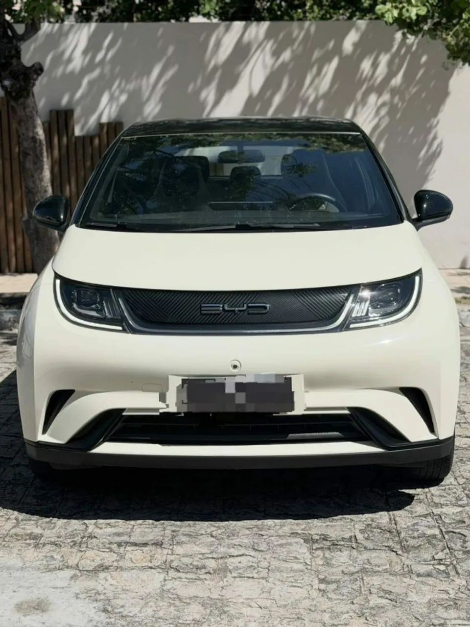 BYD Dolphin EV (Elétrico) 2024 - Foto 5