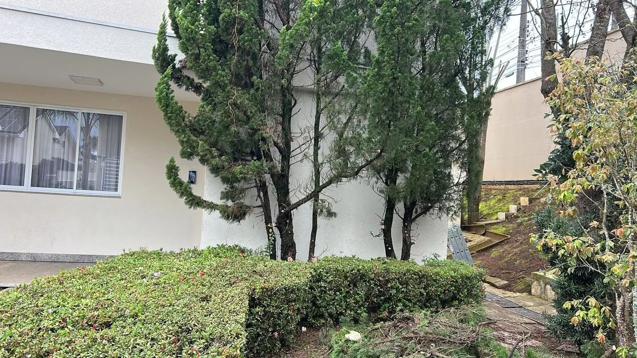 Jardinagem  - Foto 3
