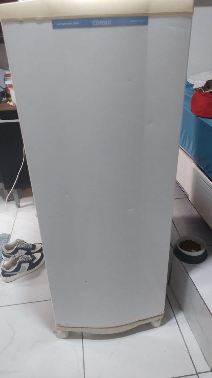 Geladeira Funcionando perfeitamente 