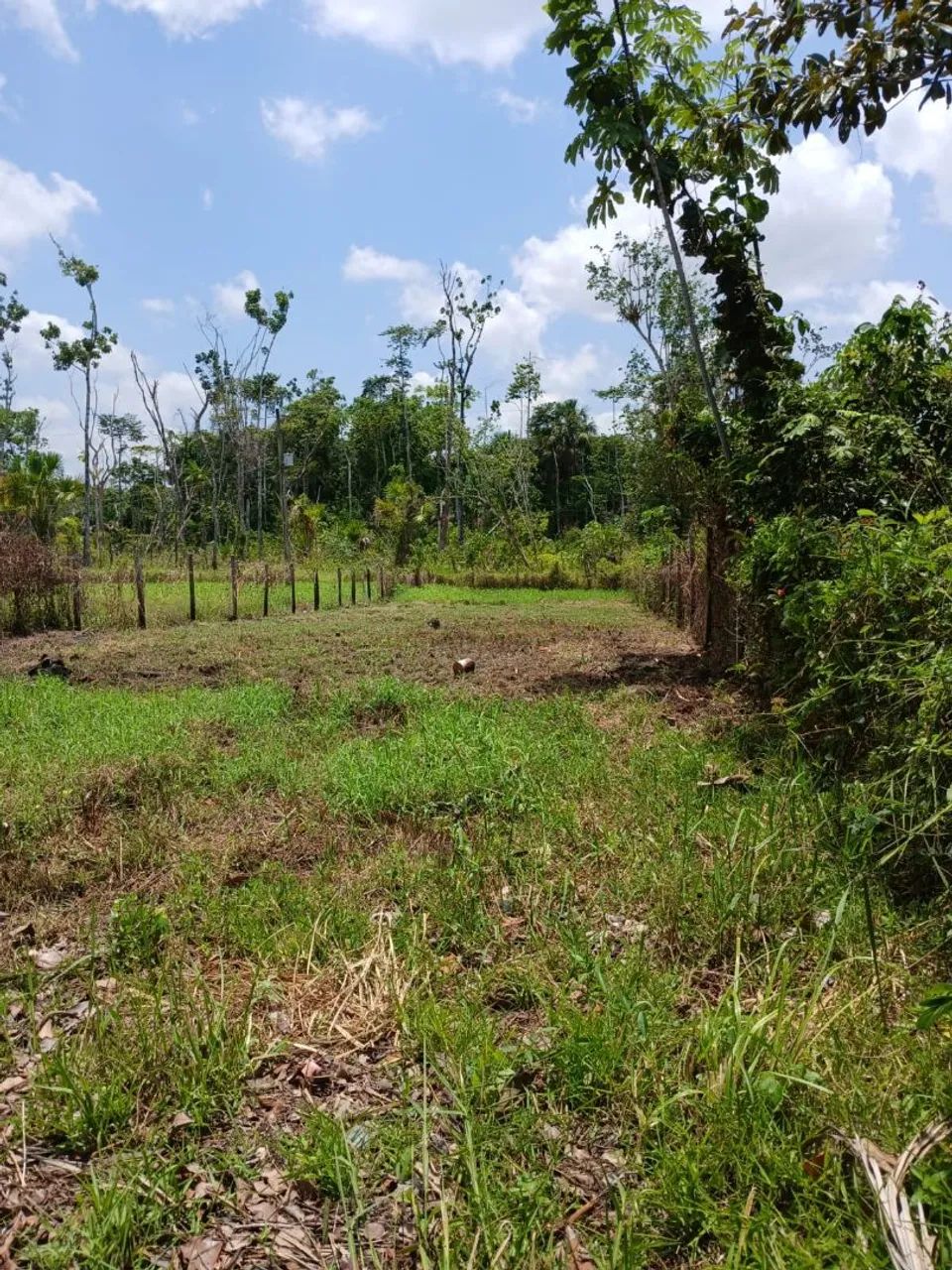 Terreno à venda 