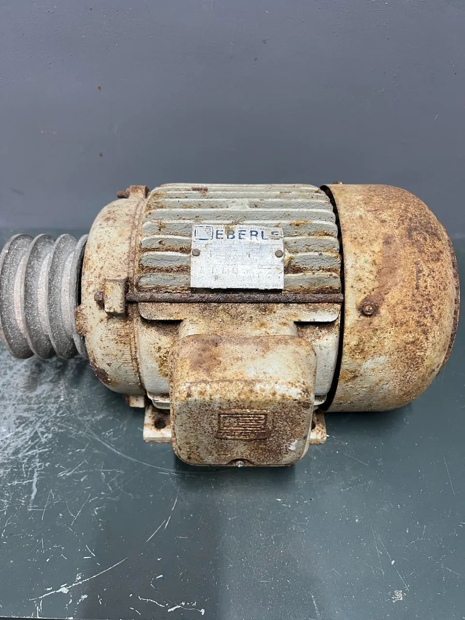 Motor Elétrico Eberle Trifásico - Aproximadamente 1 CV - Com Polia Dupla