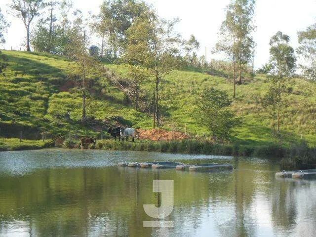 Sítio à Venda - Vila Nova, Amparo - 350m2 - 4 Quartos