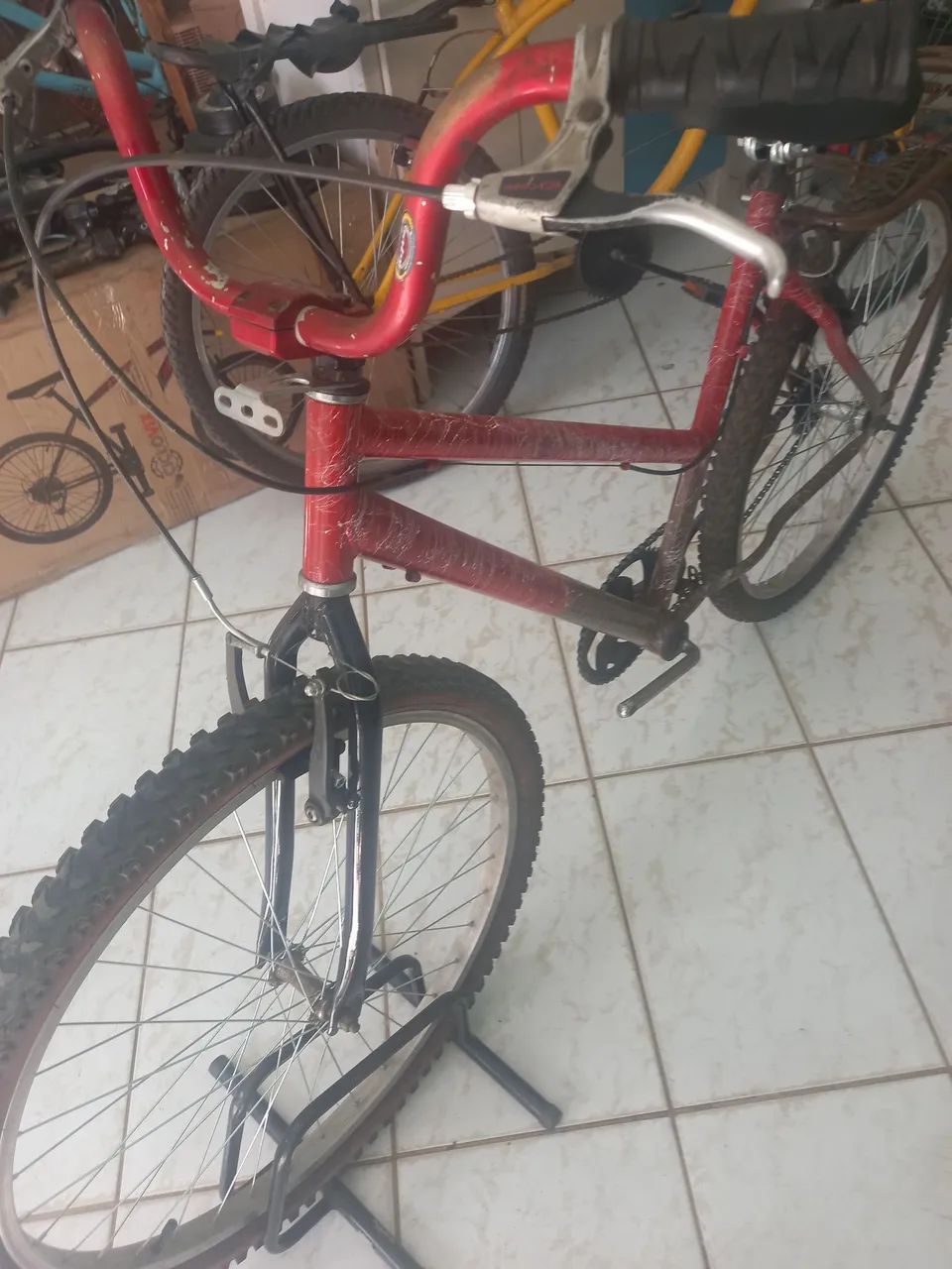 Bicicleta 