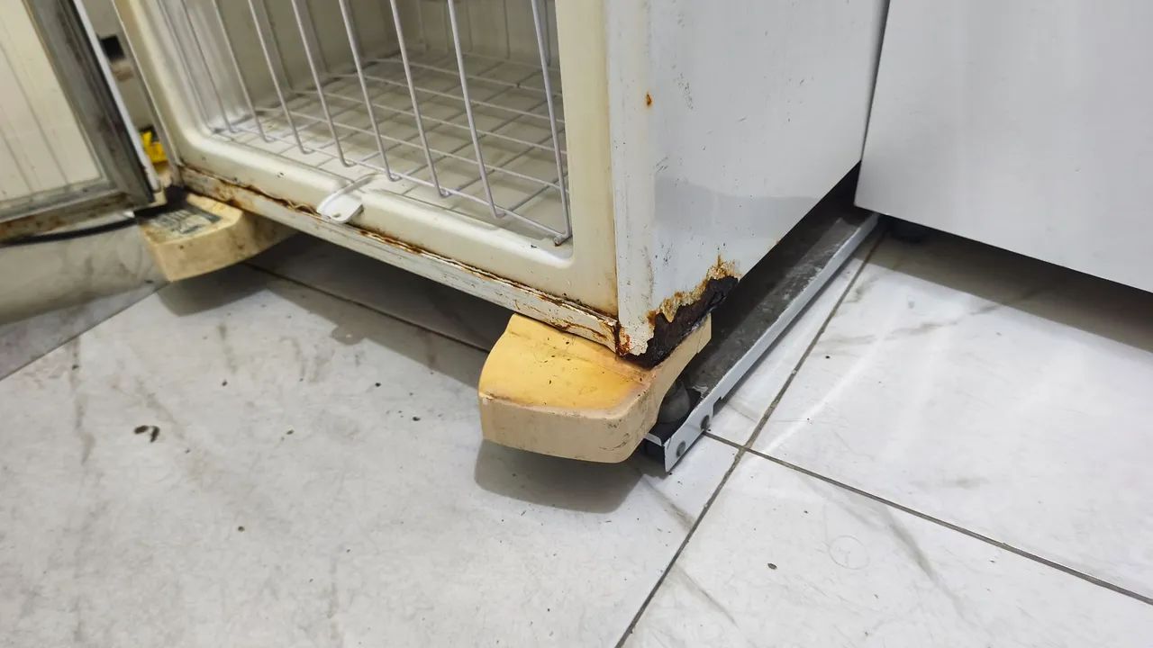 Freezer Vertical Electrolux  - Foto 5