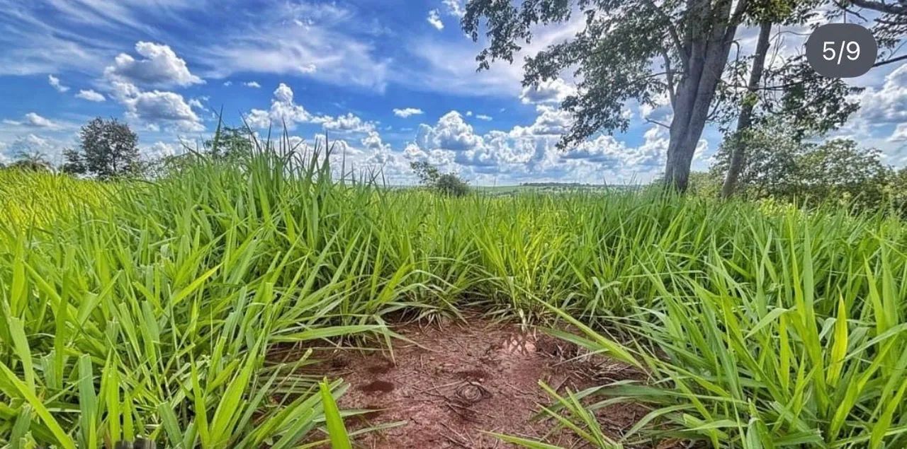 Fazenda em santa vitória minas  - Foto 2