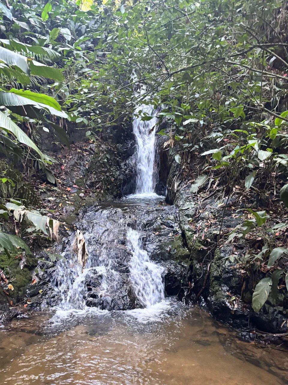 2 HECTARES COM CACHOEIRA! AO LADO DA FLUSS HAUS - Foto 3