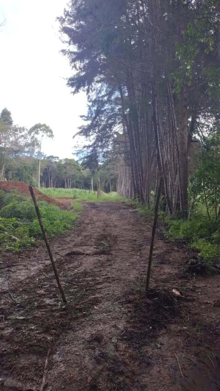 Terreno em Caeté 