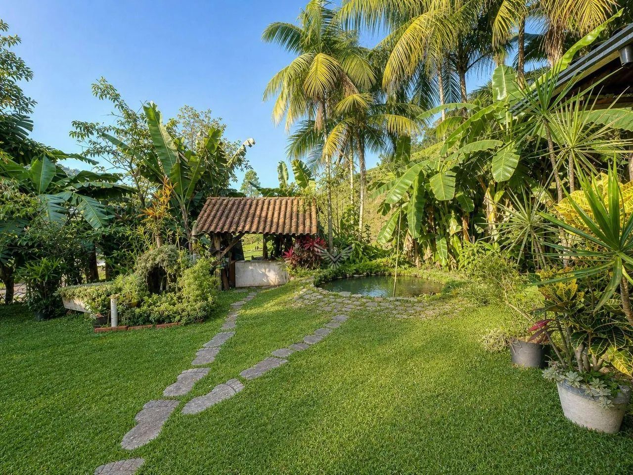 Sitio com casa boa, lagoa em muita natureza - Foto 5