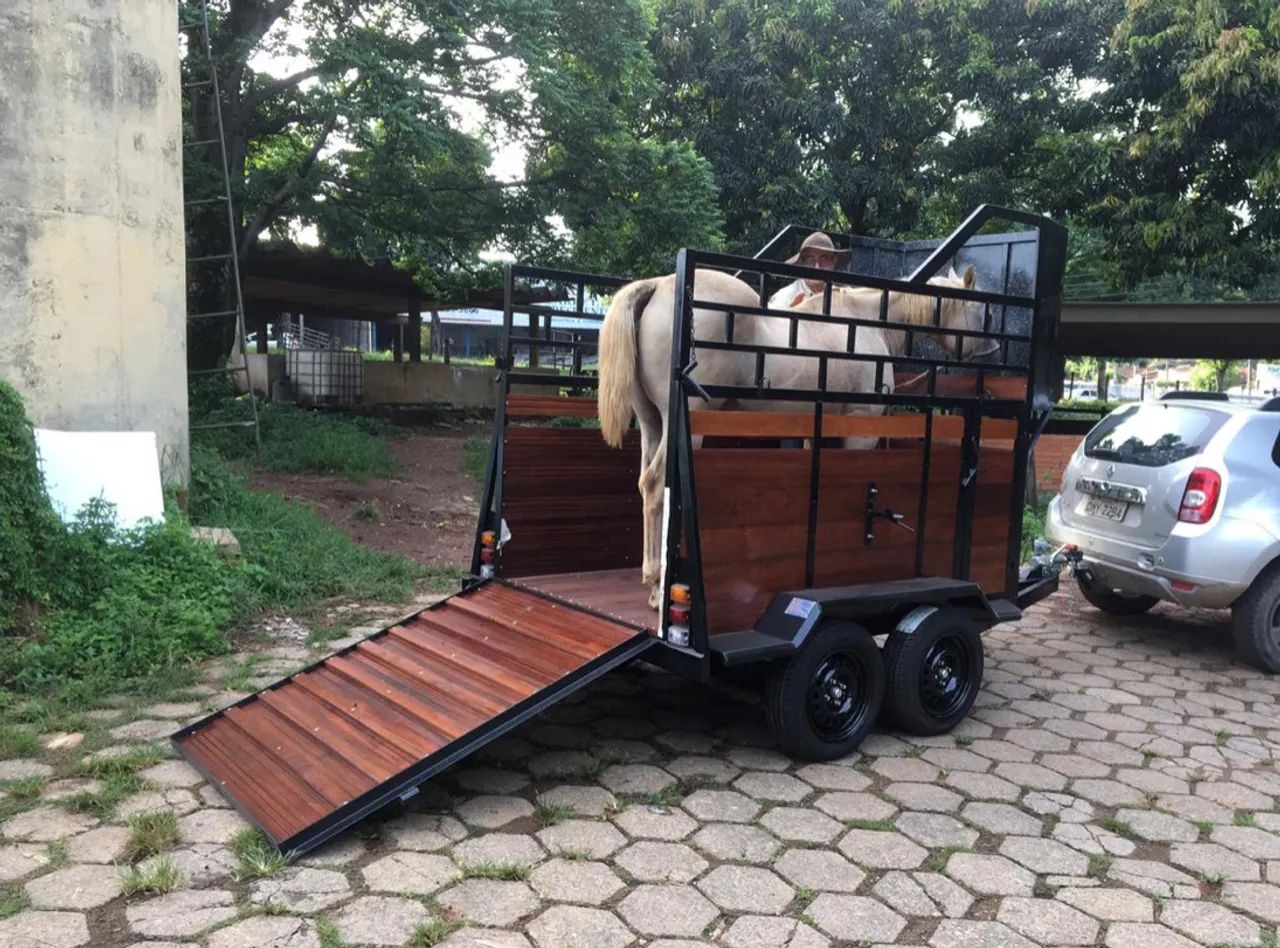 Carretinha pra 2 cavalos  - Foto 2