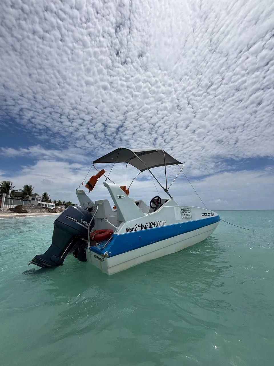 Lancha dourado  - Foto 3