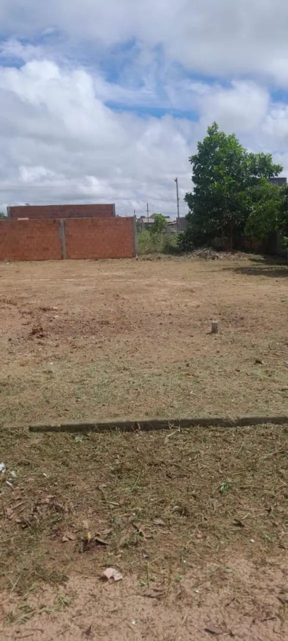 Lote TERRA NOVA BOSQUE  - Foto 3