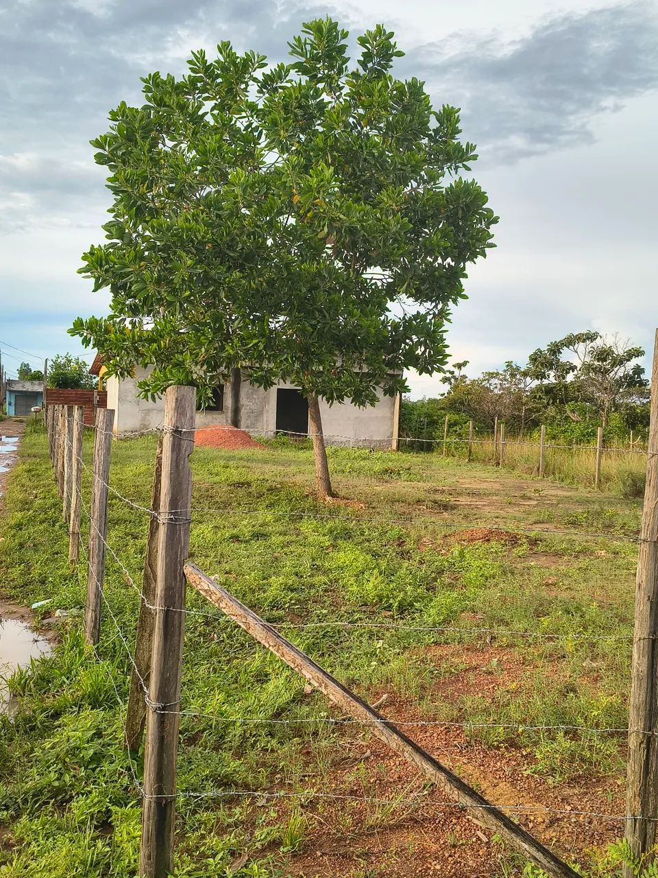 Terreno medindo 10 por 50 com uma casa