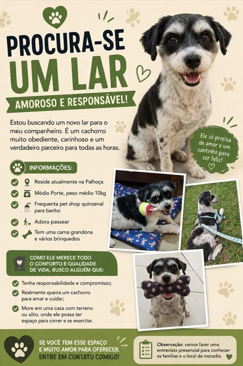 Doação Cachorro  resgatado e castrado