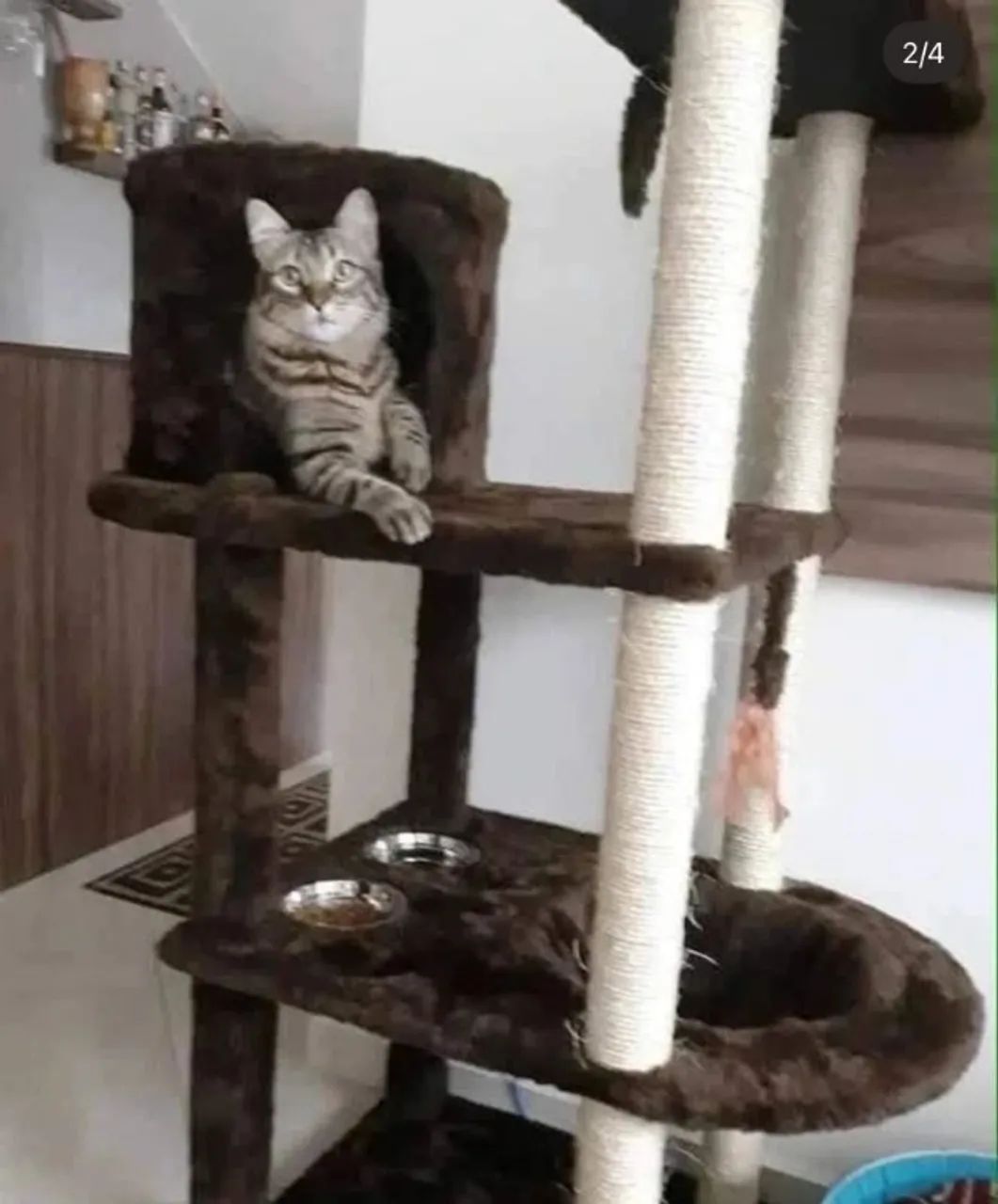 ARRANHADORES PERSONALIZADOS PARA GATOS - Foto 2