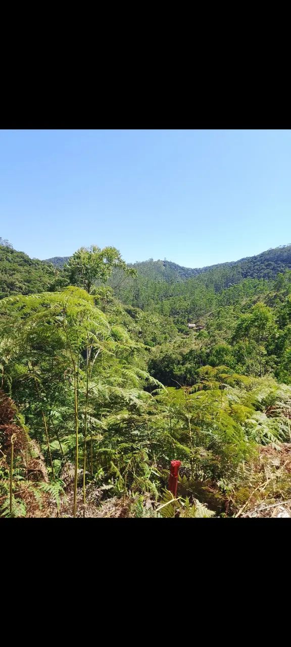 Terreno de sítio com platô pequeno para chalé 2900 metros - Foto 3