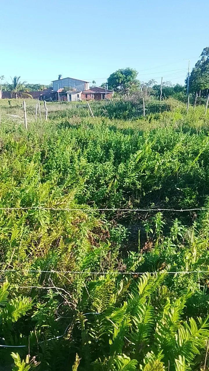 Terreno 10 por 22 - Foto 4