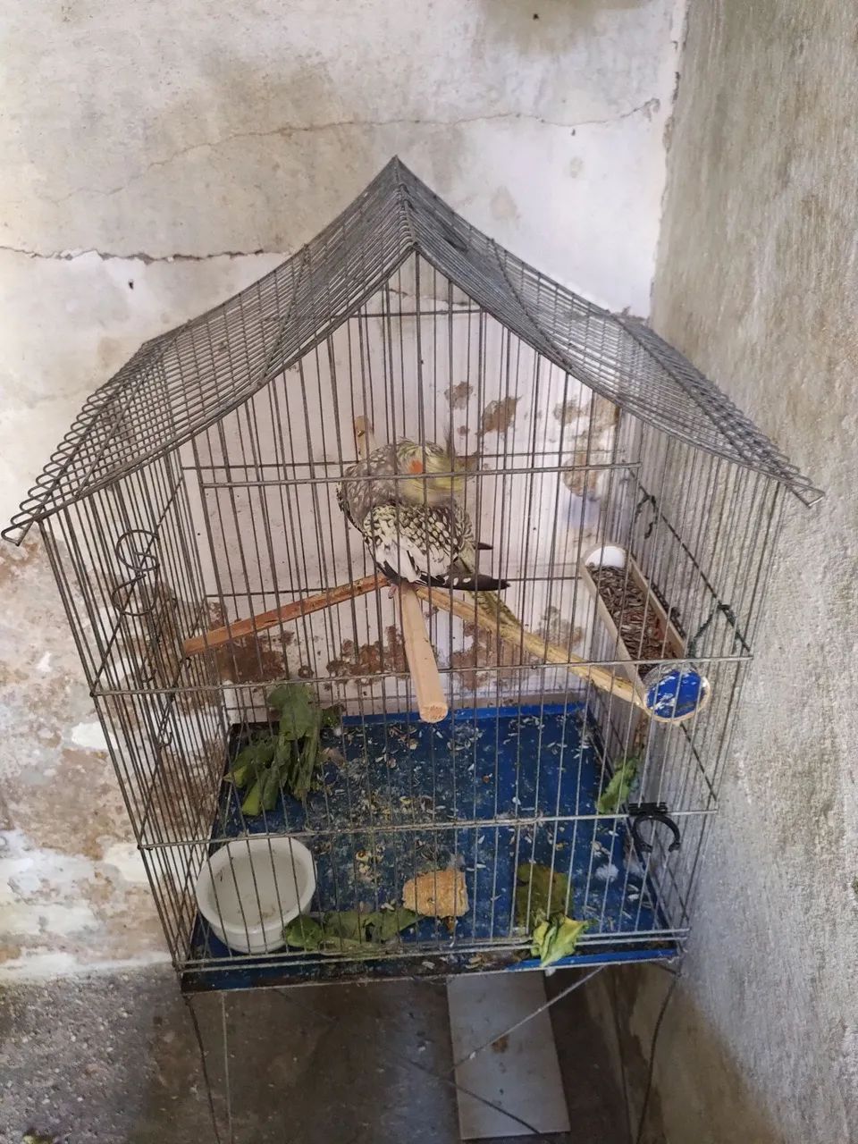Vende-se - Foto 5