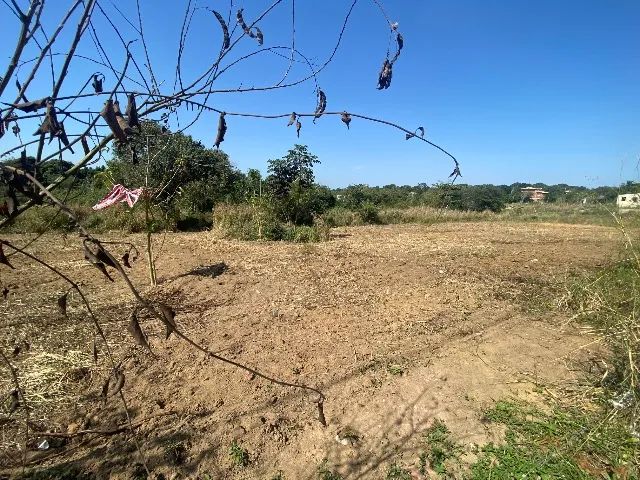 Terreno