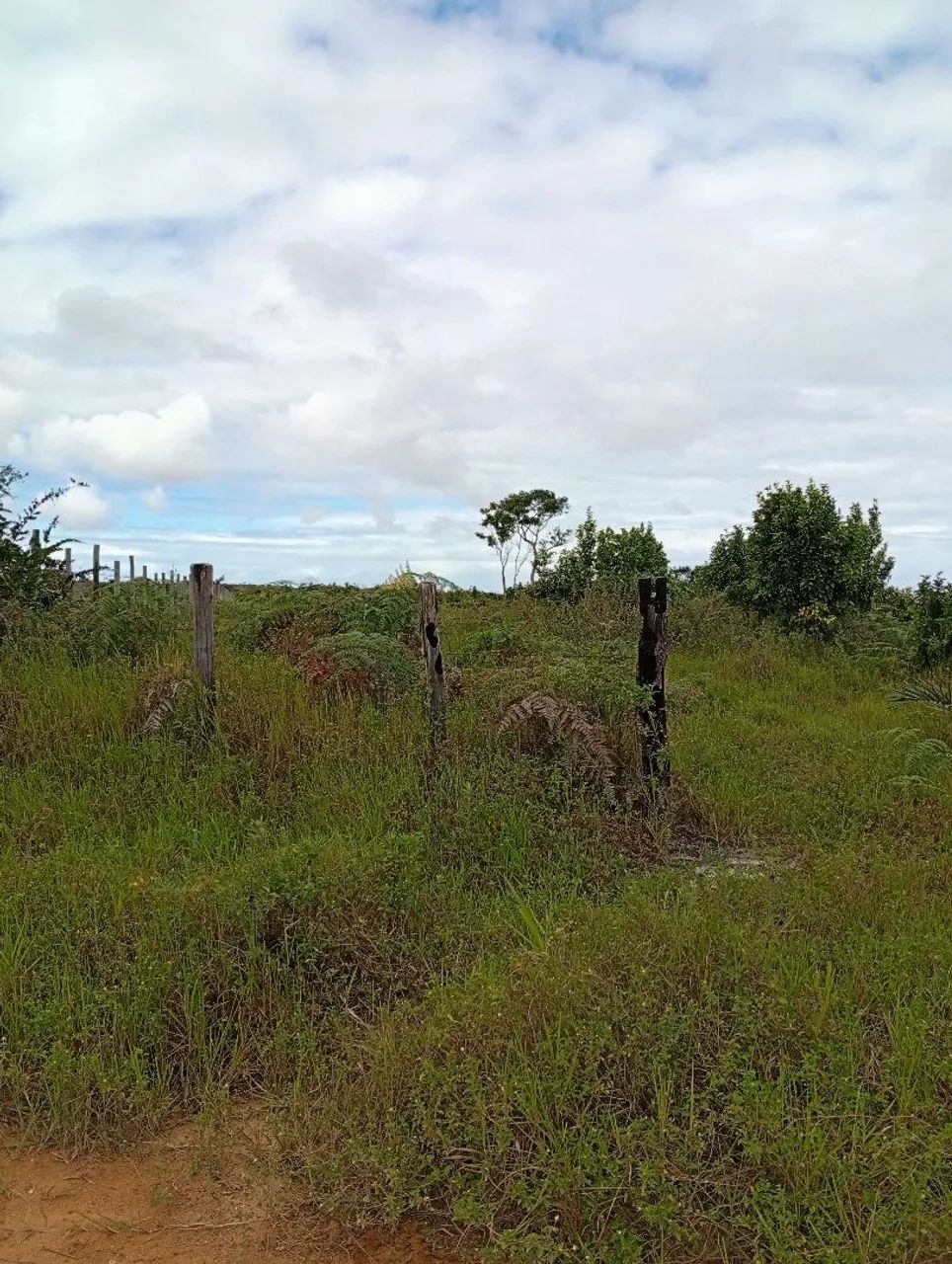 Chácara próximo a praia de Mogiquiçaba Belmonte 