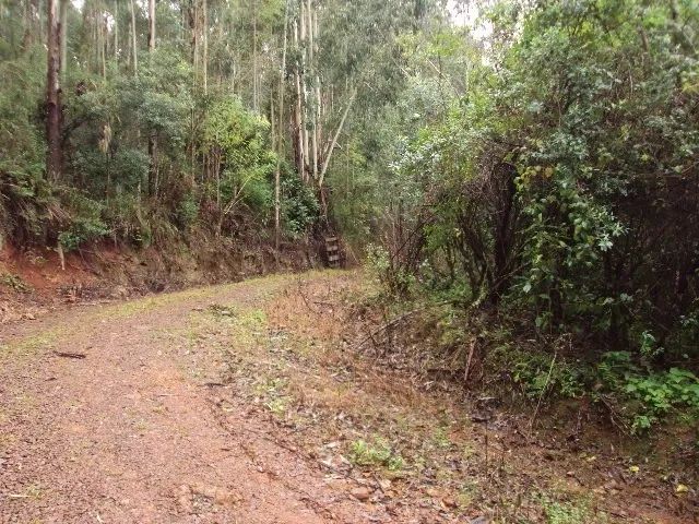 Chácara Galópolis Caxias do Sul - Foto 3
