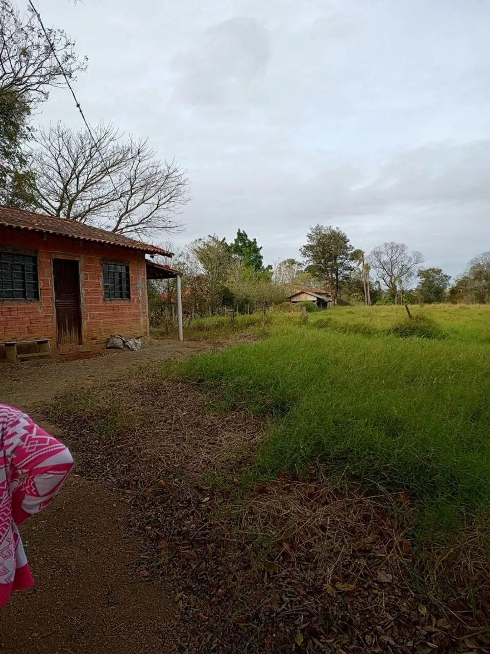 Sítio a venda  - Foto 4