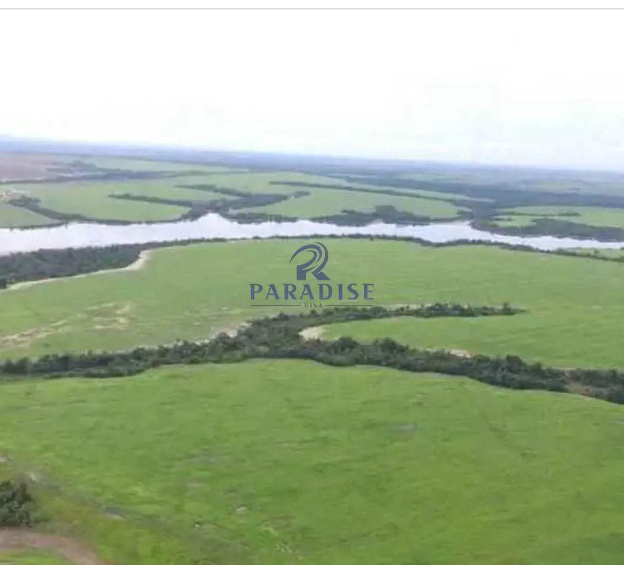 Fazenda 2.052 alqueires, Sudeste Pará - R$ 250 mi, Cod: 68921