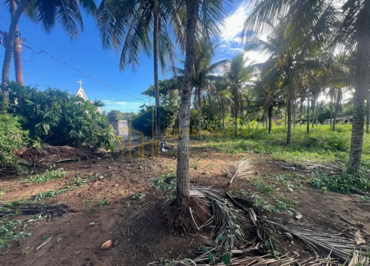 Oportunidade única em Parque das Gaivotas: Lotes com documentação regularizada! - Foto 4