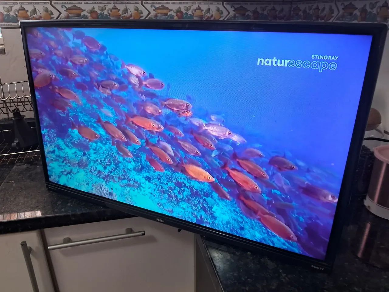 SMARTV 32 PHILCO ROKU ENTREGA INCLUÍDA 