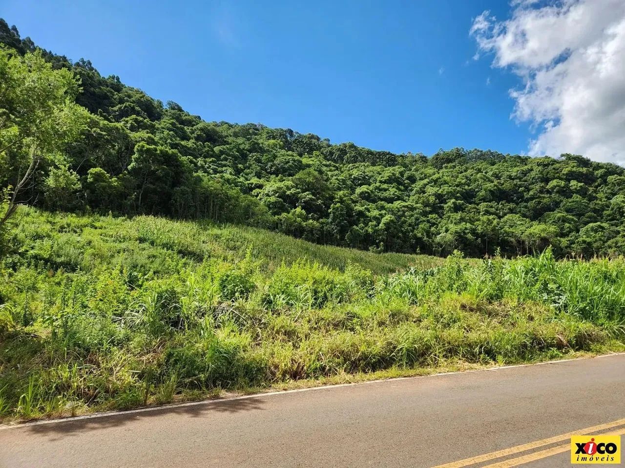 Sítio / Chácara para Venda em Nova Petrópolis, Nove Colonias - Foto 7