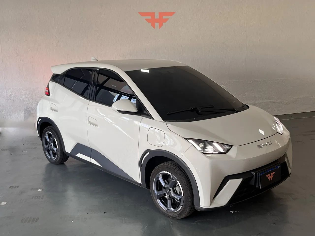 BYD Dolphin Mini (Elétrico) 2024 2024
