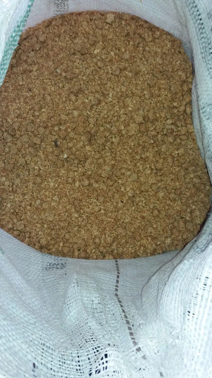 MILHO E PRODUTOS AGRÍCOLAS - Foto 3