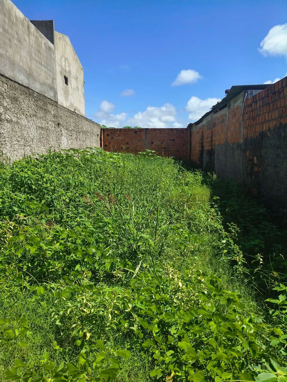 Vendo Terreno na Barra Nova - Foto 3
