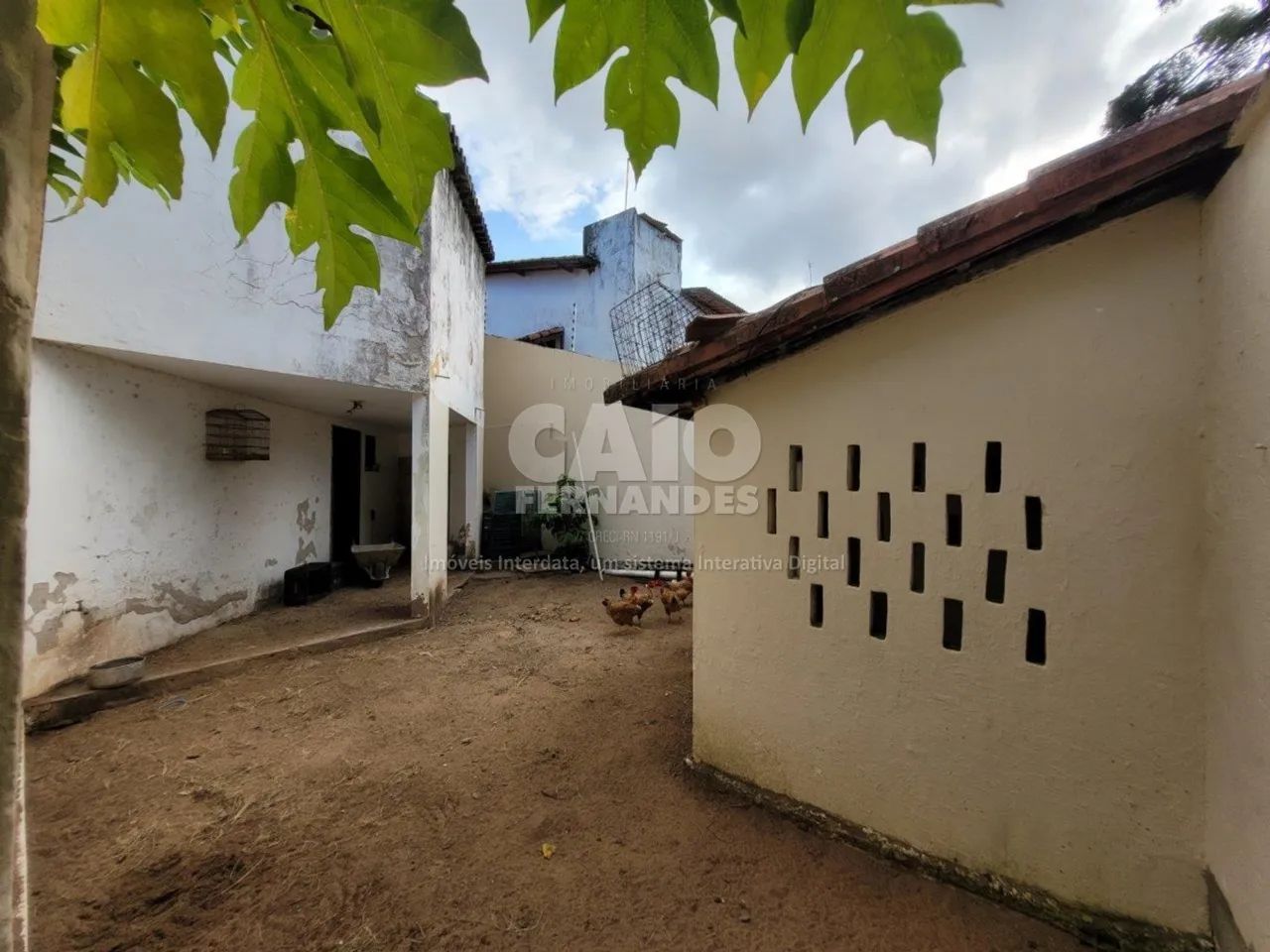Casa em Candelária - Foto 3