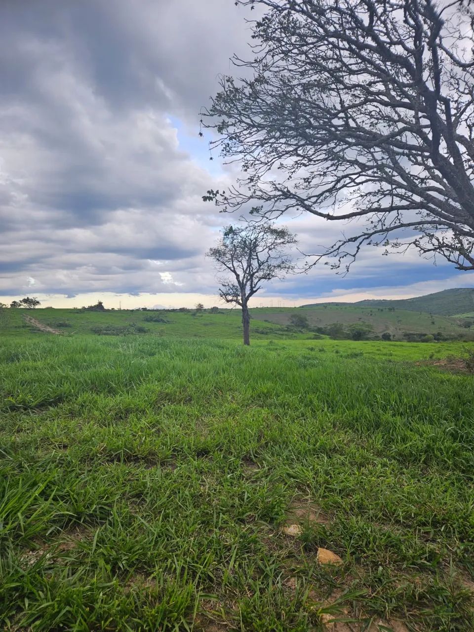 Fazenda 44ha com Cachoeira - Foto 3
