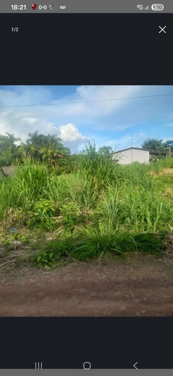 Terreno 