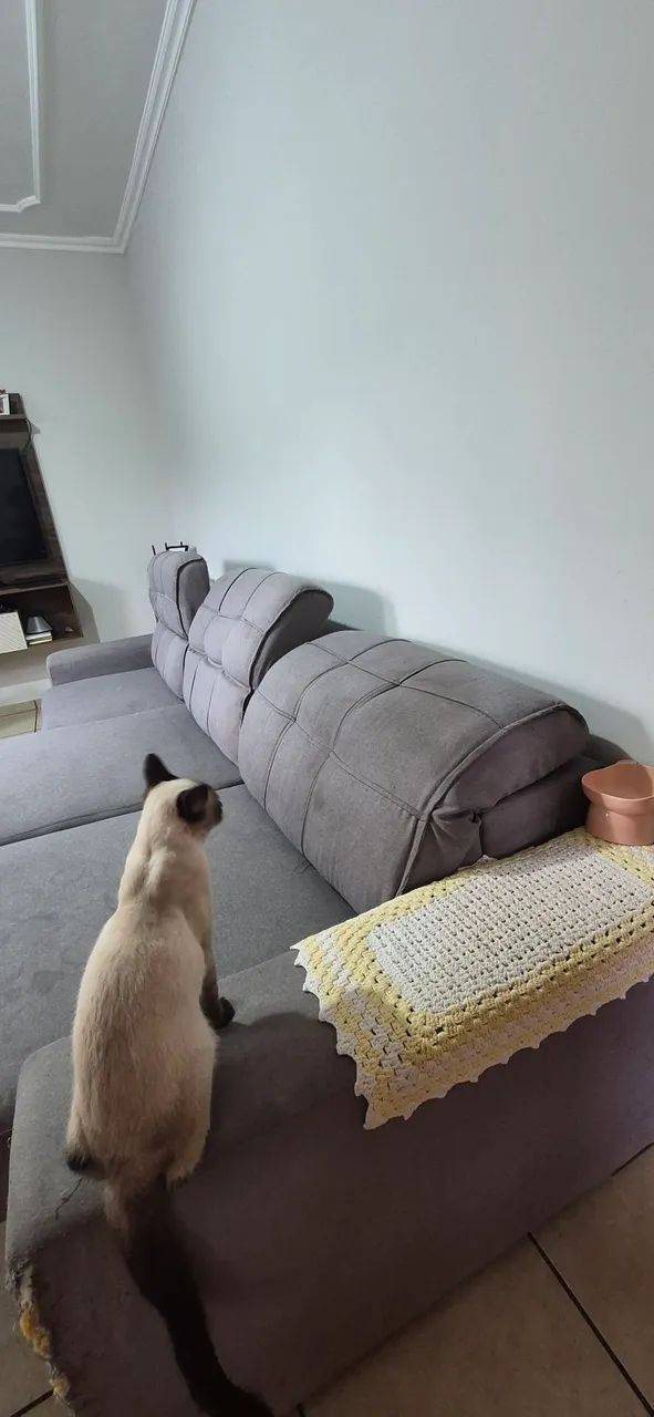 Vendo sofá retrátil e reclináveis usado - Foto 4