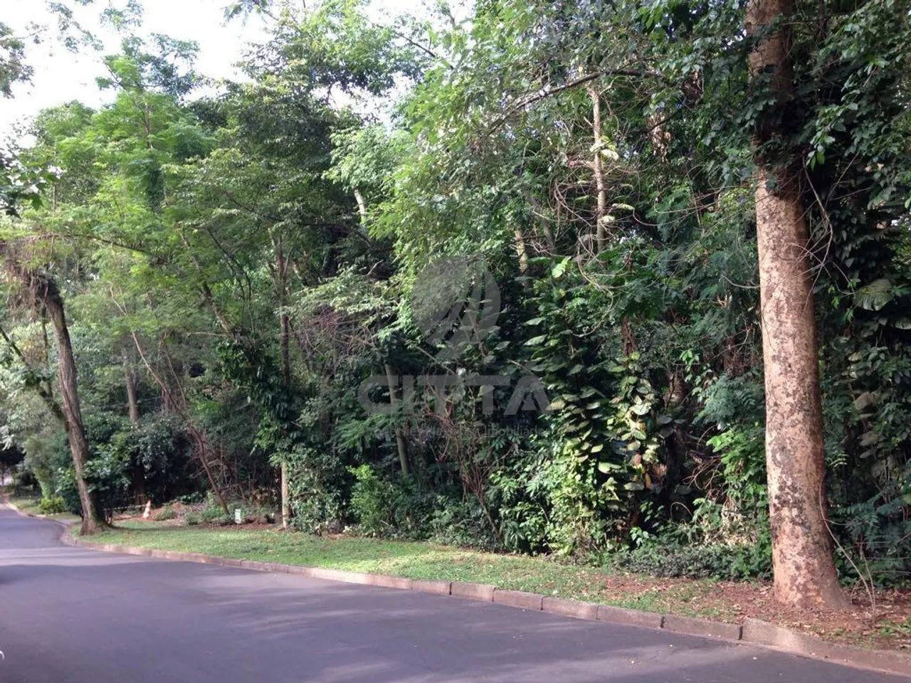 terreno - Parque São Quirino - Campinas
