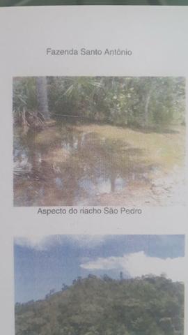 Vendo Área em Fernando Falcão Excelente pra Gado e Agricultura - Foto 4