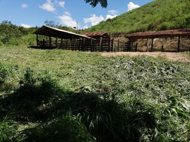 Fazenda com 127 hectares em Baixo Guandu - Foto 10