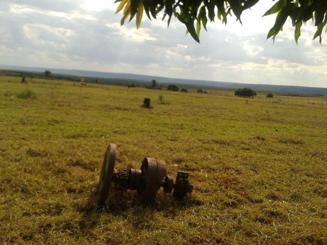 11.500 Hectares, Pecuária, 4800 há pastagens, estruturada, Mato Grosso. - Foto 3