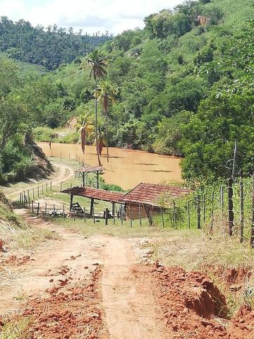 Fazenda com 127 hectares em Baixo Guandu - Foto 7